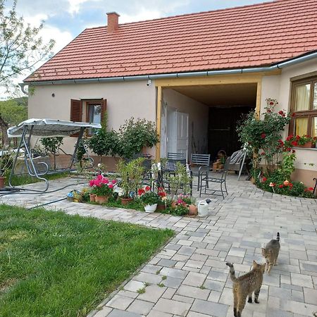Bormegallo Vendeghaz Szekszárd Zewnętrze zdjęcie